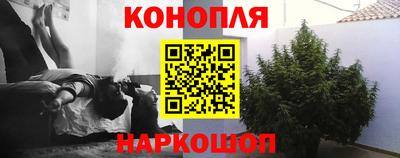 стафф Тверь