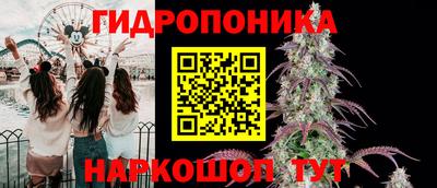стафф Тверь