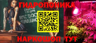 стафф Тверь