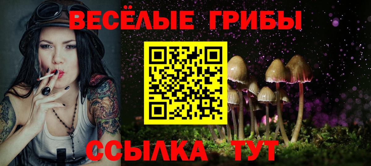 Псилоцибиновые грибы Psilocybine cubensis Новошахтинск